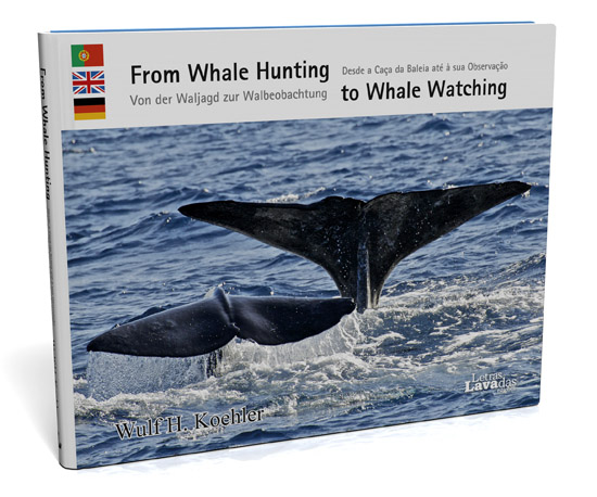Von der Waljagd zur Walbeobachtung